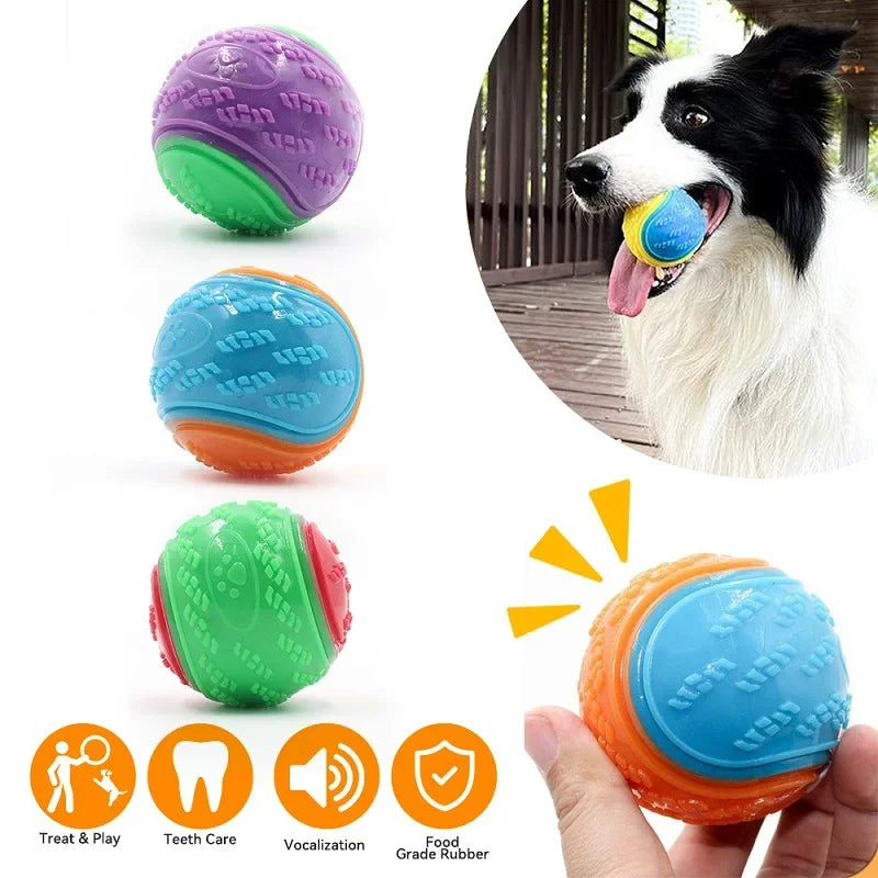 Bite Resistant Squeaky Dog Ball Toy