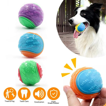 Bite Resistant Squeaky Dog Ball Toy