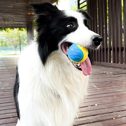 Bite Resistant Squeaky Dog Ball Toy